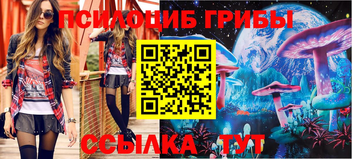 Псилоцибиновые грибы MAGIC MUSHROOMS Похвистнево