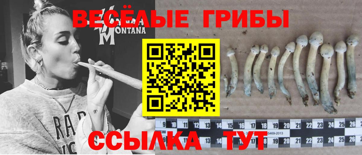 Псилоцибиновые грибы ЛСД  Вход с VPN  Псилоцибиновые грибы ЛСД  Похвистнево 